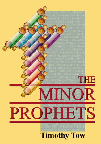 Sampul buku The Minor Prophets